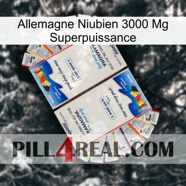 Germany Niubian 3000 Mg Superpower kamagra1.jpg